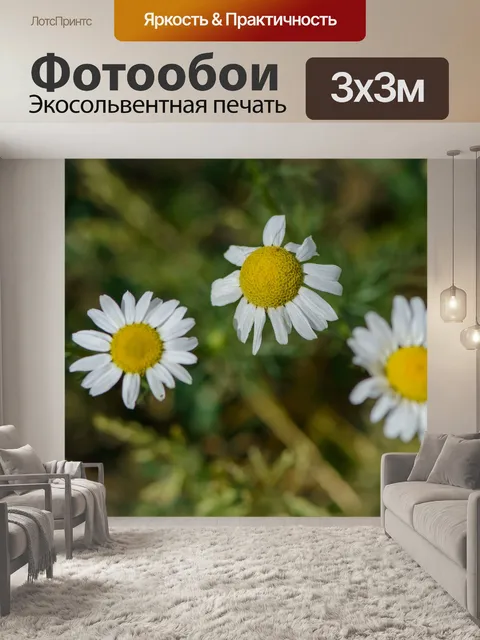 Фотообои Три ромашки