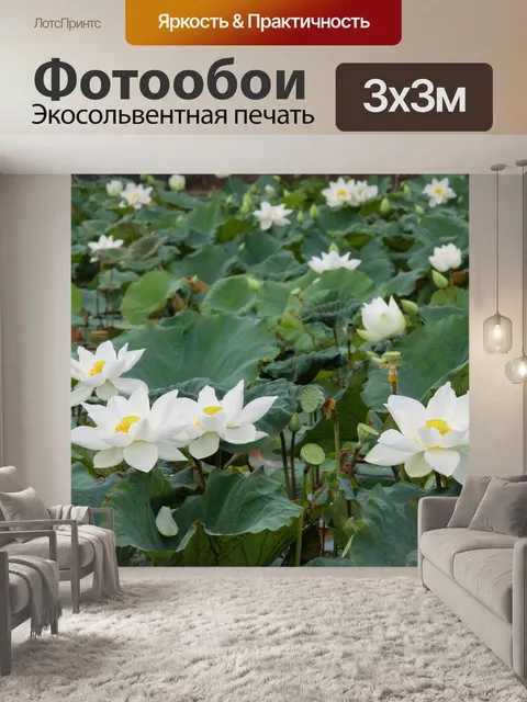 Фотообои Белый лотос