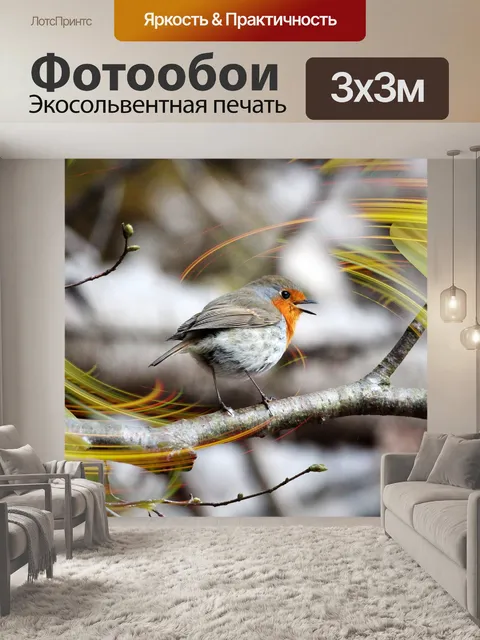 Фотообои Робин redbreast