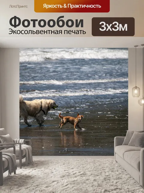 Фотообои Собаки на пляже
