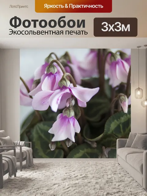 Фотообои Розовый