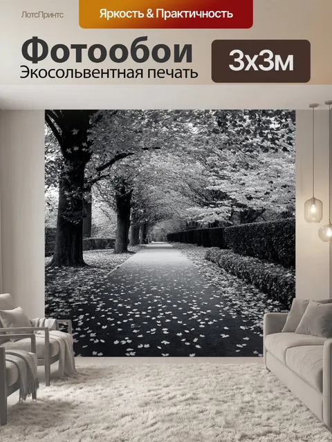 Фотообои черно-белый с изображением осенних листьев, которые падают на дорожку