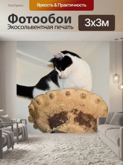 Фотообои Играют кошки