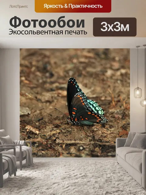Фотообои Красная пятнистая фиолетовая бабочка