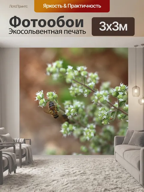 Фотообои Белые цветки