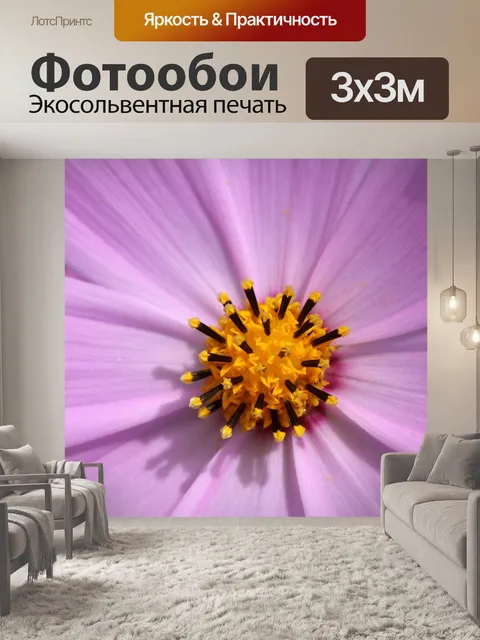 Фотообои Космос