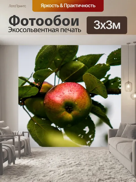 Фотообои Яблоко