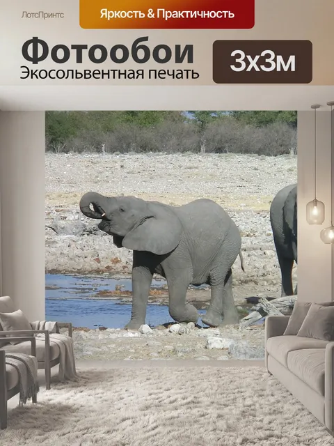 Фотообои Слон