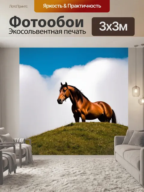 Фотообои лошадь, сидящая на горе, с облаками, обвивающими ее