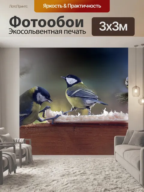Фотообои Птица