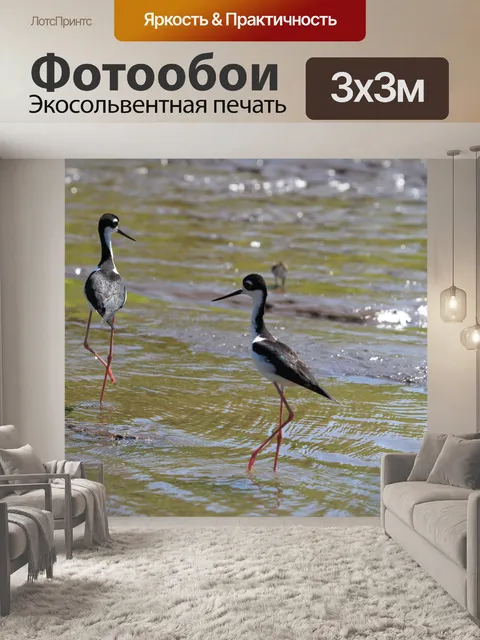 Фотообои Черная шея сваях птица