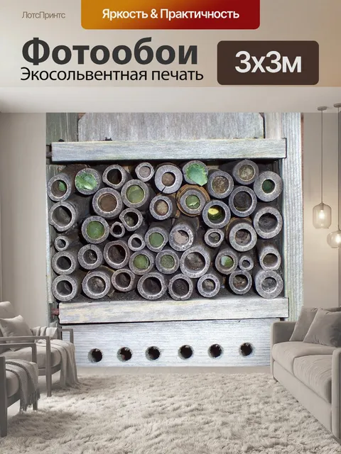 Фотообои Дом насекомых