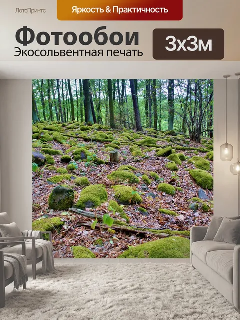 Фотообои Лес