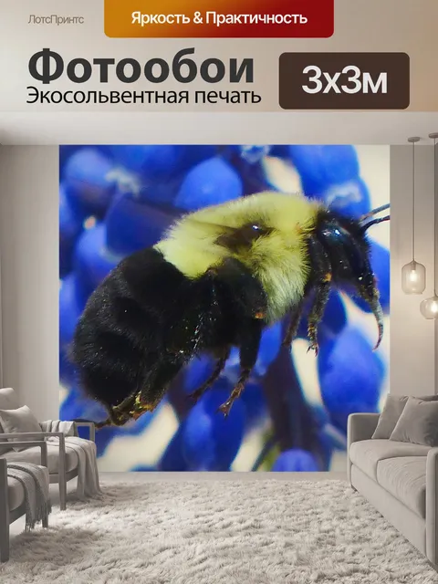 Фотообои Пчела в полете 2