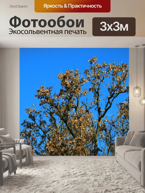 Фотообои дерево с сухими листьями