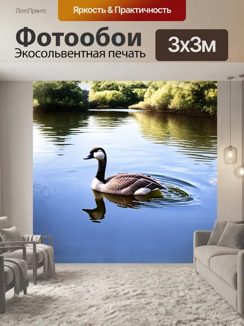 Фотообои изящный гусь плывет по спокойной поверхности озера