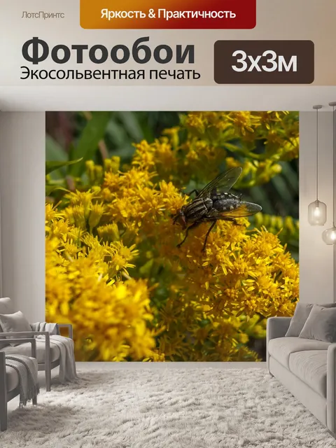 Фотообои Летать
