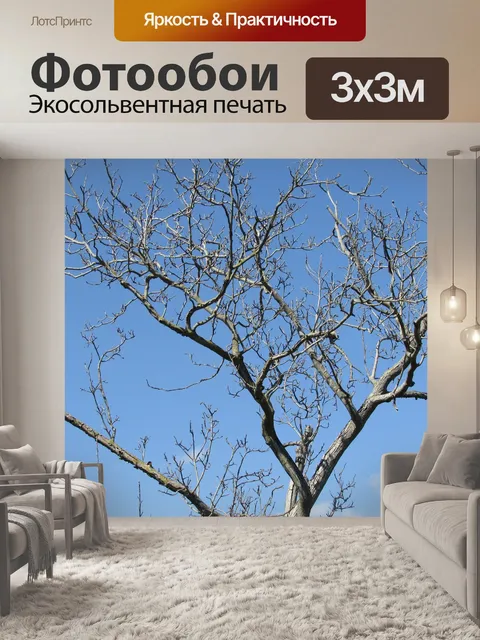 Фотообои Деревья