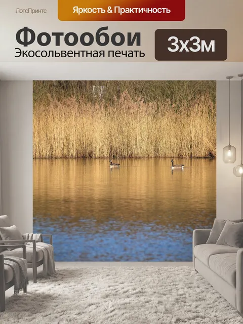 Фотообои Озеро