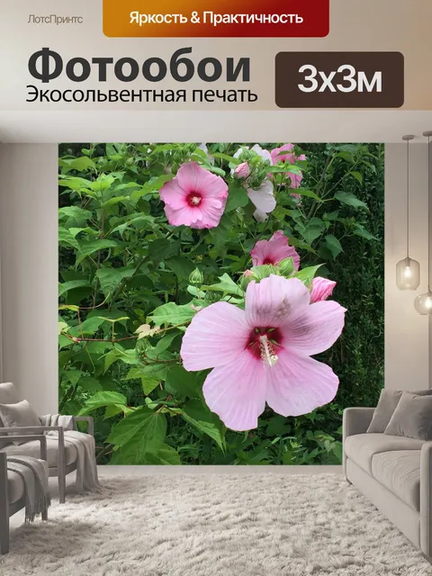 Фотообои Цветок