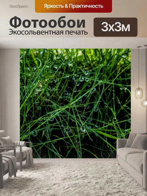 Фотообои Капли воды