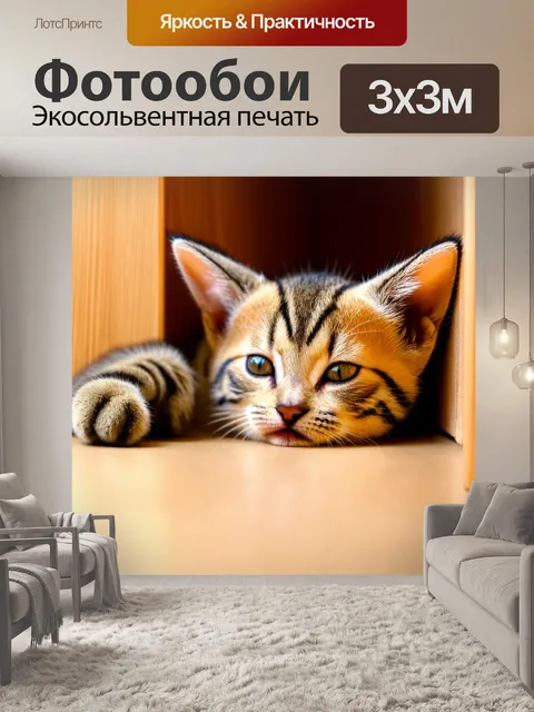 Фотообои котенок, собирающийся спать в уютном углу