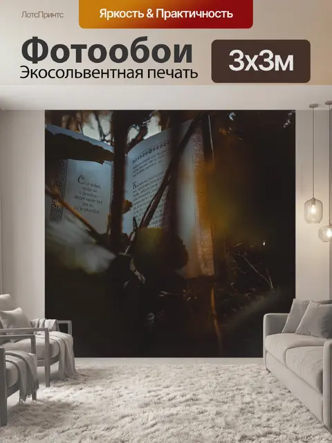 Фотообои Гири