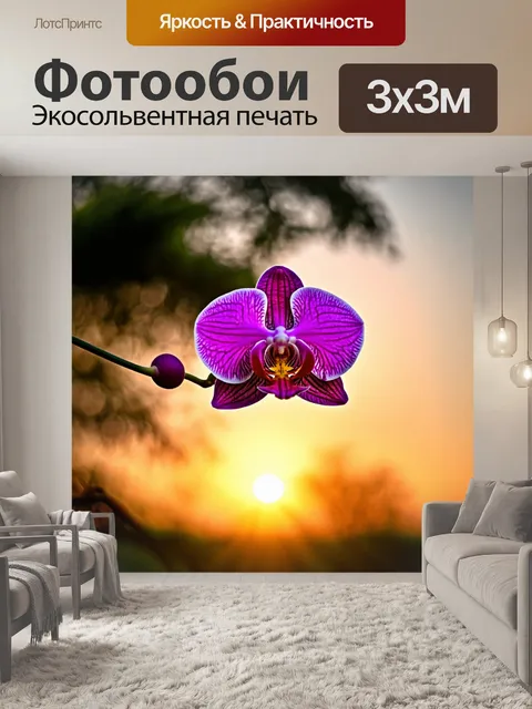 Фотообои орхидея на фоне заката, с размытыми силуэтами деревьев
