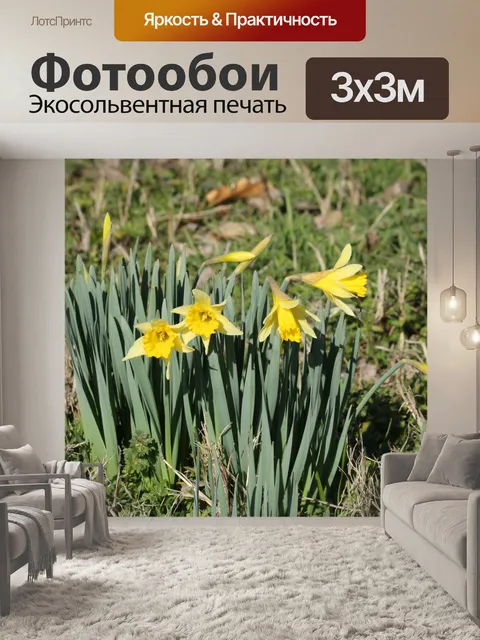 Фотообои Мини нарциссы в траве