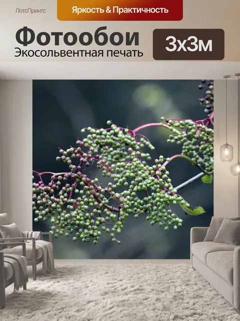 Фотообои Дерево