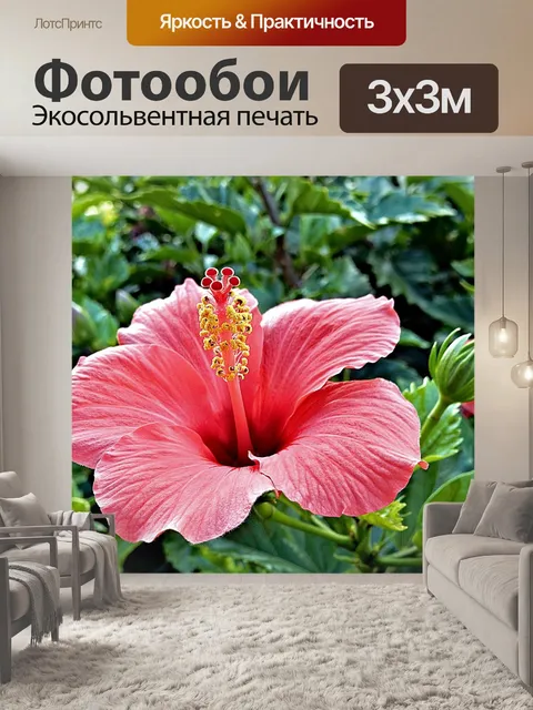 Фотообои Красный