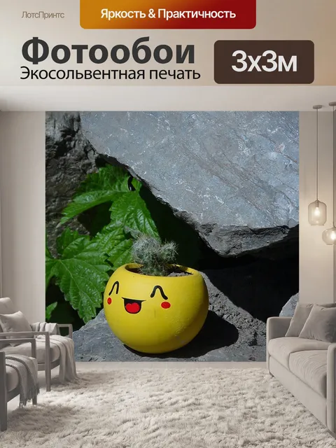 Фотообои Кактус