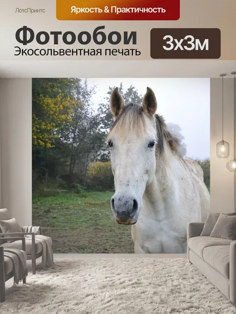 Фотообои Лошадь