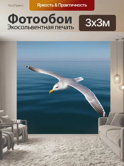 Фотообои полет чайки над спокойным морем