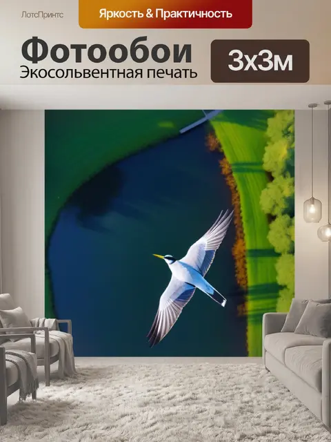 Фотообои кран с высоты птичьего полета