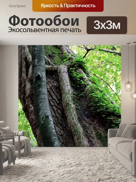 Фотообои Лес