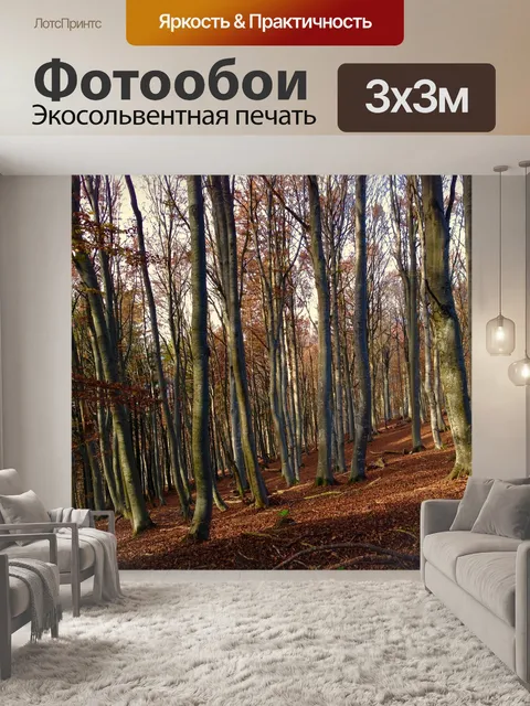 Фотообои Лес