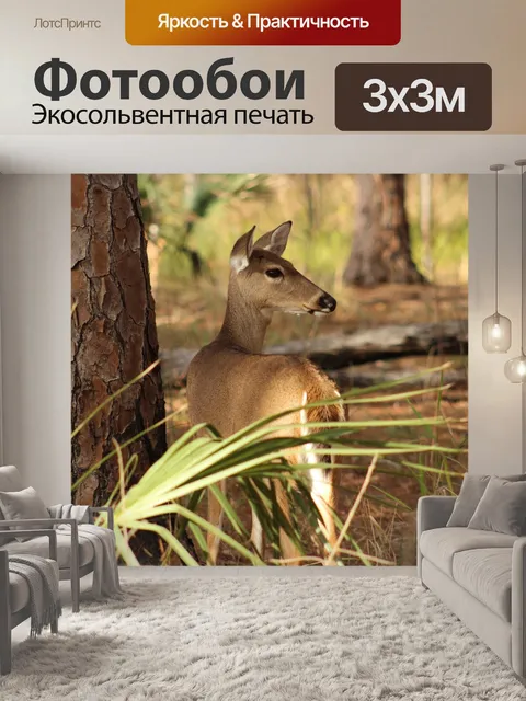 Фотообои Олень