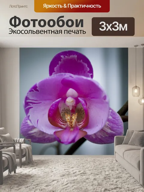 Фотообои Цветок
