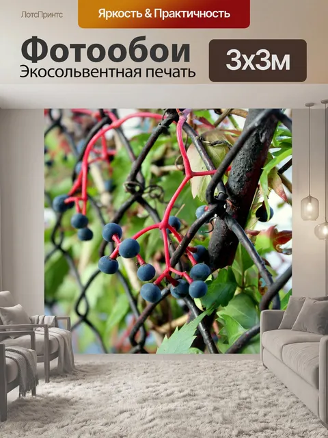 Фотообои Вирджиния крипер