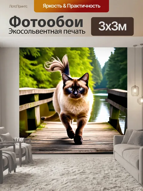 Фотообои сиамский кот, элегантно шагающий по старинному деревянному мосту, его шерсть ветер развивает в разные стороны