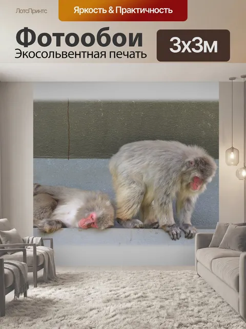 Фотообои Обезьяна набор 7, 1
