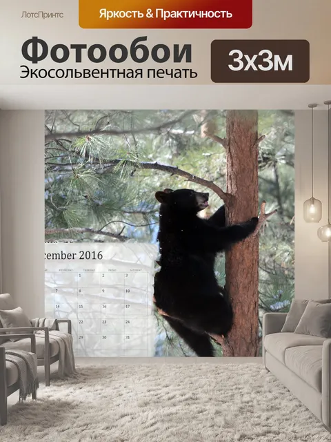 Фотообои Декабрь 2016 Календарь с медведя