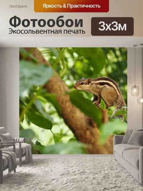 Фотообои Симпатичные Белка в дереве