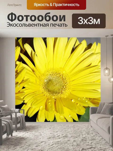 Фотообои Желтый Гербер Дейзи Макро