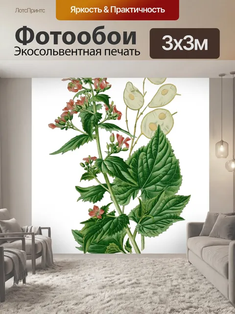 Фотообои Винтажные иллюстрации искусства цветы