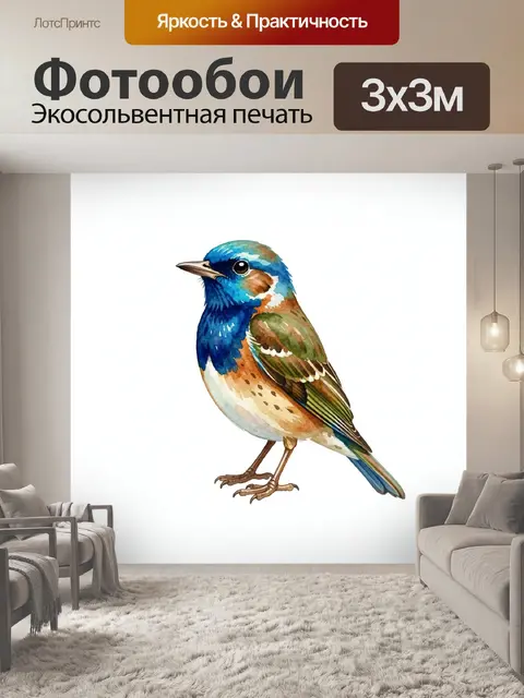 Фотообои Яркая маленькая птица