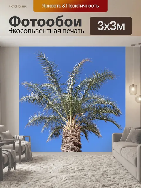 Фотообои Дубай
