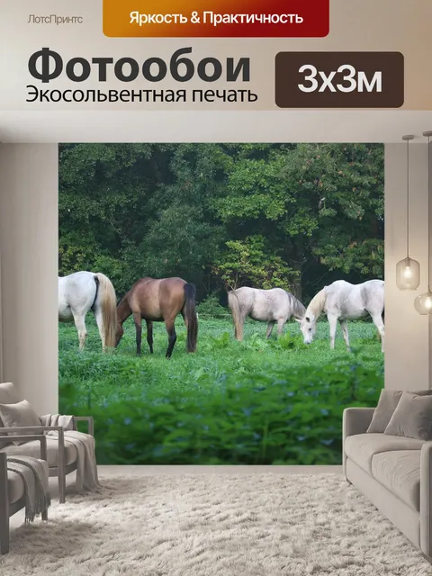 Фотообои Лошадь