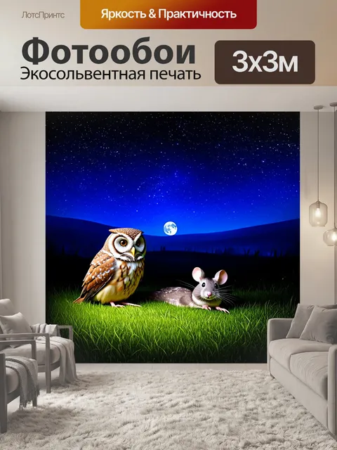 Фотообои сова и мышь, которые увлеченно наблюдают за звездами, лежа на траве